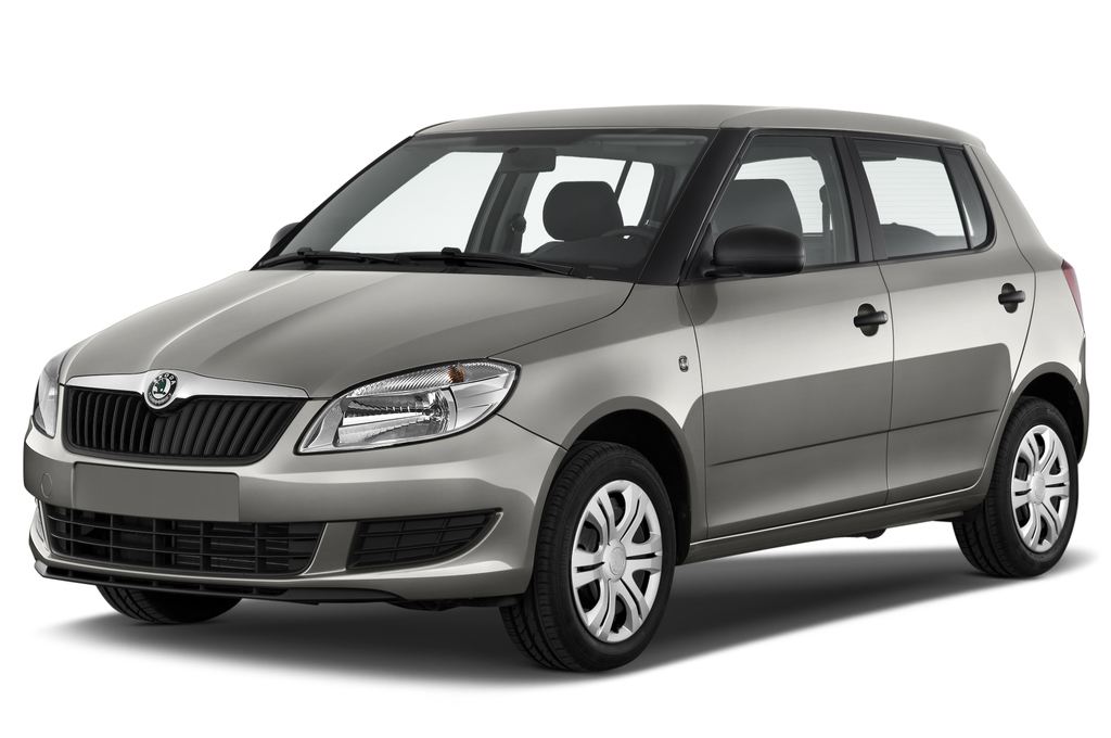 Skoda Fabia 5J 10-14